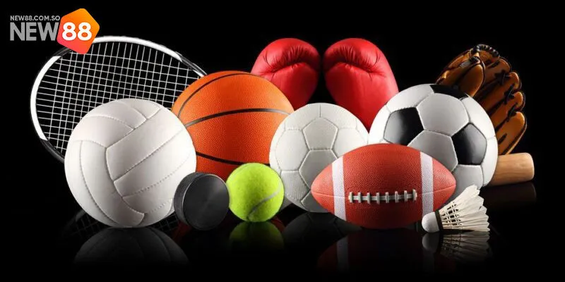 T-Sports - Sảnh Cược Thể Thao Siêu “Hot” Tại Nhà Cái New88