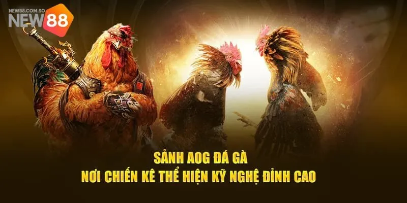 AOG Đá Gà New88 - Nơi Quy Tụ Những Chiến Kê Đỉnh Cao